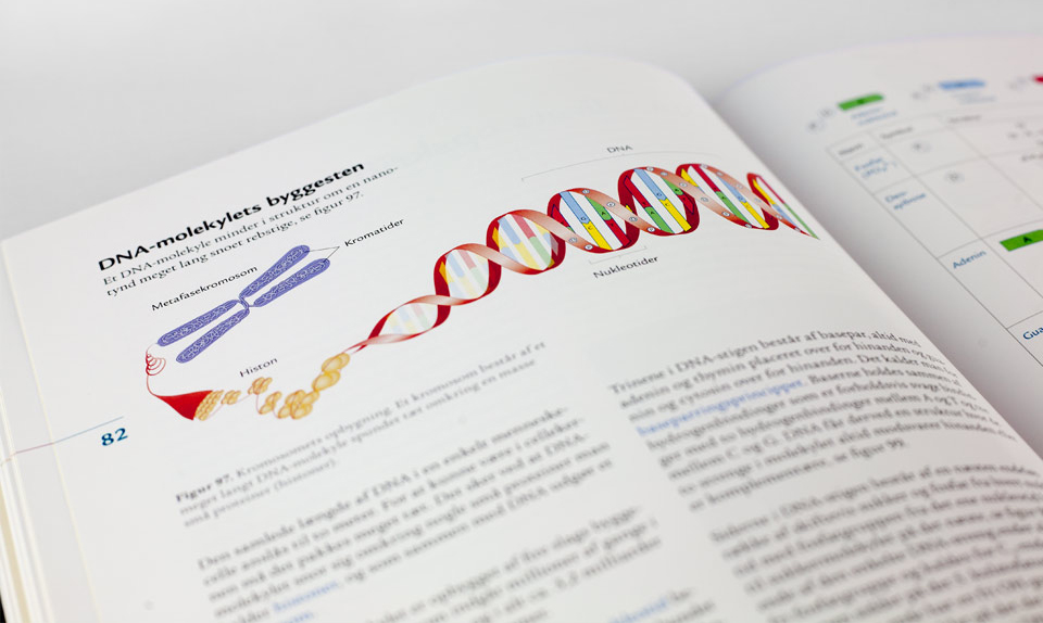 Boglayout biologi