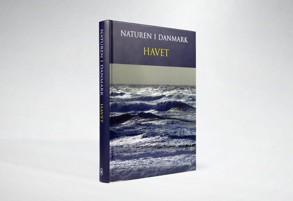 Forside af bogen Havet